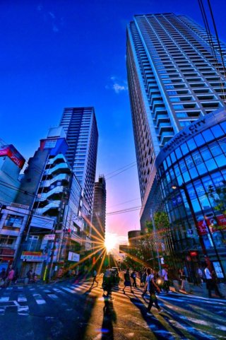 PHOTO by いちかわの魅力新発見＆再発見