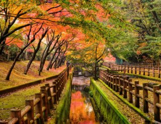 PHOTO by いちかわの魅力新発見＆再発見