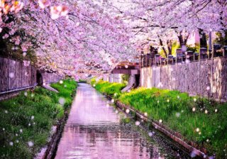 PHOTO by いちかわの魅力新発見＆再発見