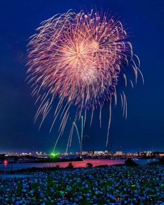 PHOTO by いちかわの魅力新発見＆再発見